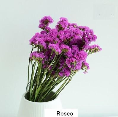 Dried Statices Flower, Dried Flowers, Flower Bunches, Dried Floral-artworkcanvas
