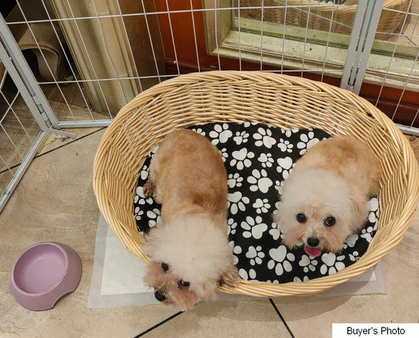Natural Wicker Dog Bed with Washable Cushion for Indoor Cats and Dogs, Hand woven Rattan Cat Beds-artworkcanvas
