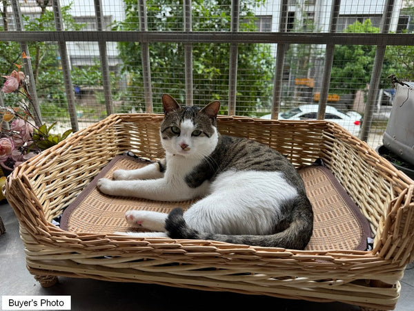 Large Natural Wicker Dog Bed with Washable Cushion for Indoor Cats and Dogs, Hand Woven Rattan Cat Beds-artworkcanvas