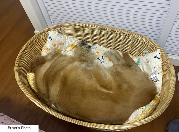 Natural Wicker Dog Bed with Washable Cushion for Indoor Cats and Dogs, Hand woven Rattan Cat Beds-artworkcanvas