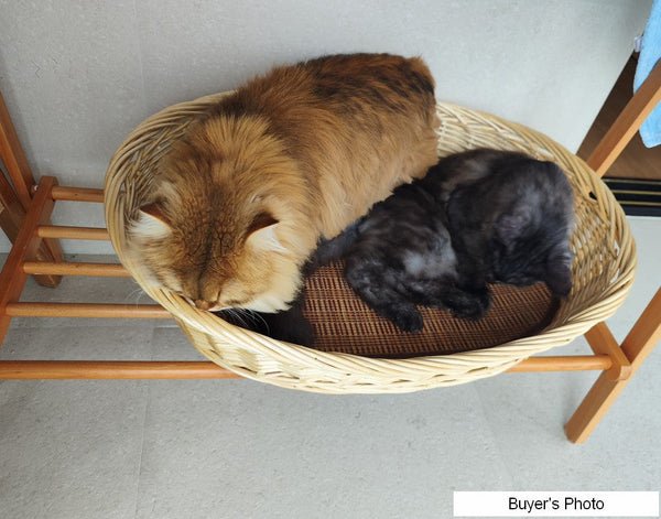 Natural Wicker Dog Bed with Washable Cushion for Indoor Cats and Dogs, Hand woven Rattan Cat Beds-artworkcanvas
