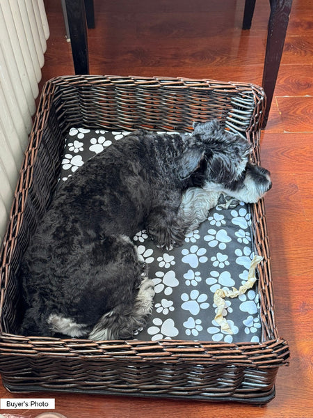 Large Natural Wicker Dog Bed with Washable Cushion for Indoor Cats and Dogs, Hand Woven Rattan Cat Beds-artworkcanvas