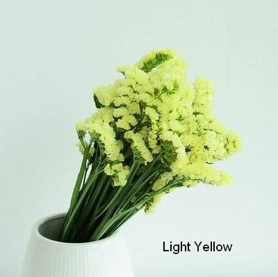 Dried Statices Flower, Dried Flowers, Flower Bunches, Dried Floral-artworkcanvas
