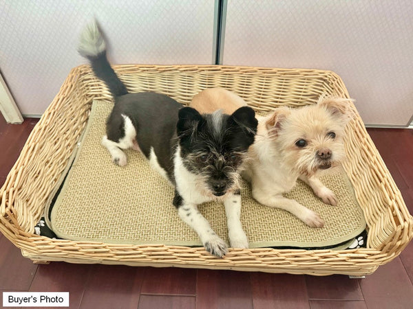 Large Natural Wicker Dog Bed with Washable Cushion for Indoor Cats and Dogs, Hand Woven Rattan Cat Beds-artworkcanvas