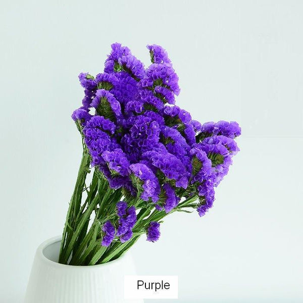 Dried Statices Flower, Dried Flowers, Flower Bunches, Dried Floral-artworkcanvas
