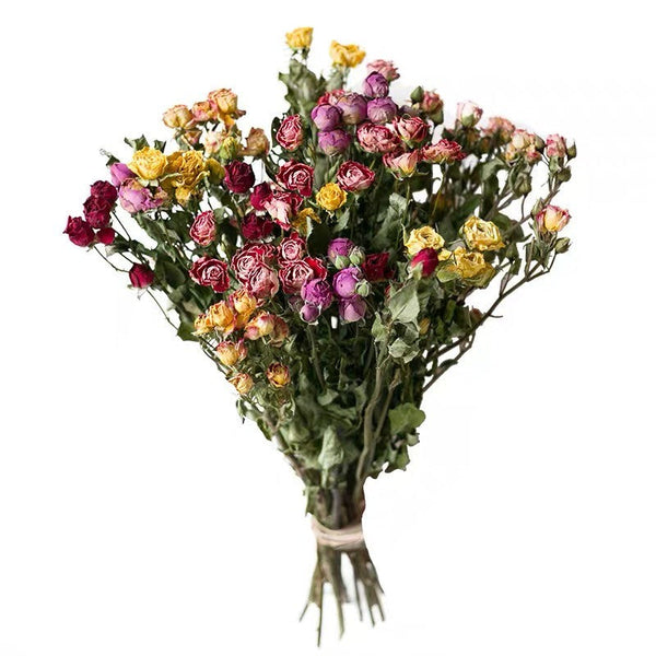 Red Yellow Purple Dried Rose Floral, Dried Rose Flower Bouquet, A Bouquet of Dried Rose Flowers, Natural Dried Rose Flower Bunches, A Bunch Dried Rose Flowers-artworkcanvas