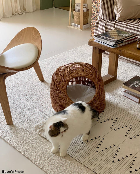 Indoor Cat Bed, Natural Wicker Cat House Basket with Washable Cushion for Indoor Cats and Dogs-artworkcanvas