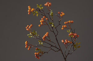 Rustic Artificial Autumn Fruit, Stem 28" Tall, Flower Arrangement, Botanicial Plant-artworkcanvas