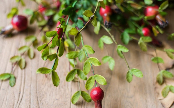 Pomegranate Branch, Beautiful Flower Arrangement Ideas for Home Decoration, Table Centerpiece, Artificial Fruit Plants, Spring Artificial Floral for Dining Room-artworkcanvas