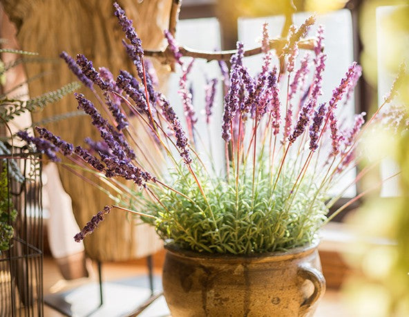 Lavender Flowers, Spring Artificial Floral for Dining Room, Bedroom Flower Arrangement Ideas, Simple Modern Floral Arrangement Ideas for Home Decoration-artworkcanvas
