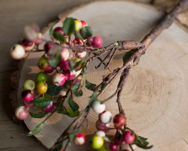 Cranberry Fruit Branch, Flower Arrangement Ideas for Living Room, Unique Artificial Flowers for Home Decoration, Spring Artificial Floral for Bedroom-artworkcanvas