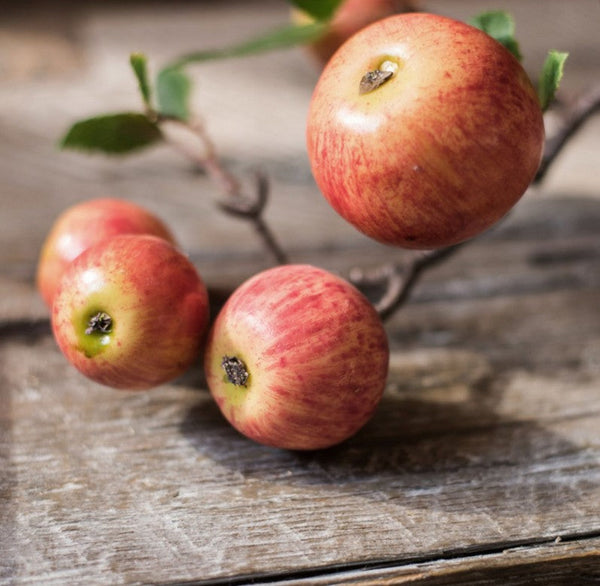 Apple Branch, Fruit Branch, Table Centerpiece, Beautiful Modern Flower Arrangement Ideas for Home Decoration, Autumn Artificial Floral for Dining Room-artworkcanvas